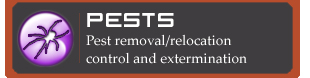 London Pest control services